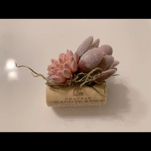 Wine Cork Succulent Magnet